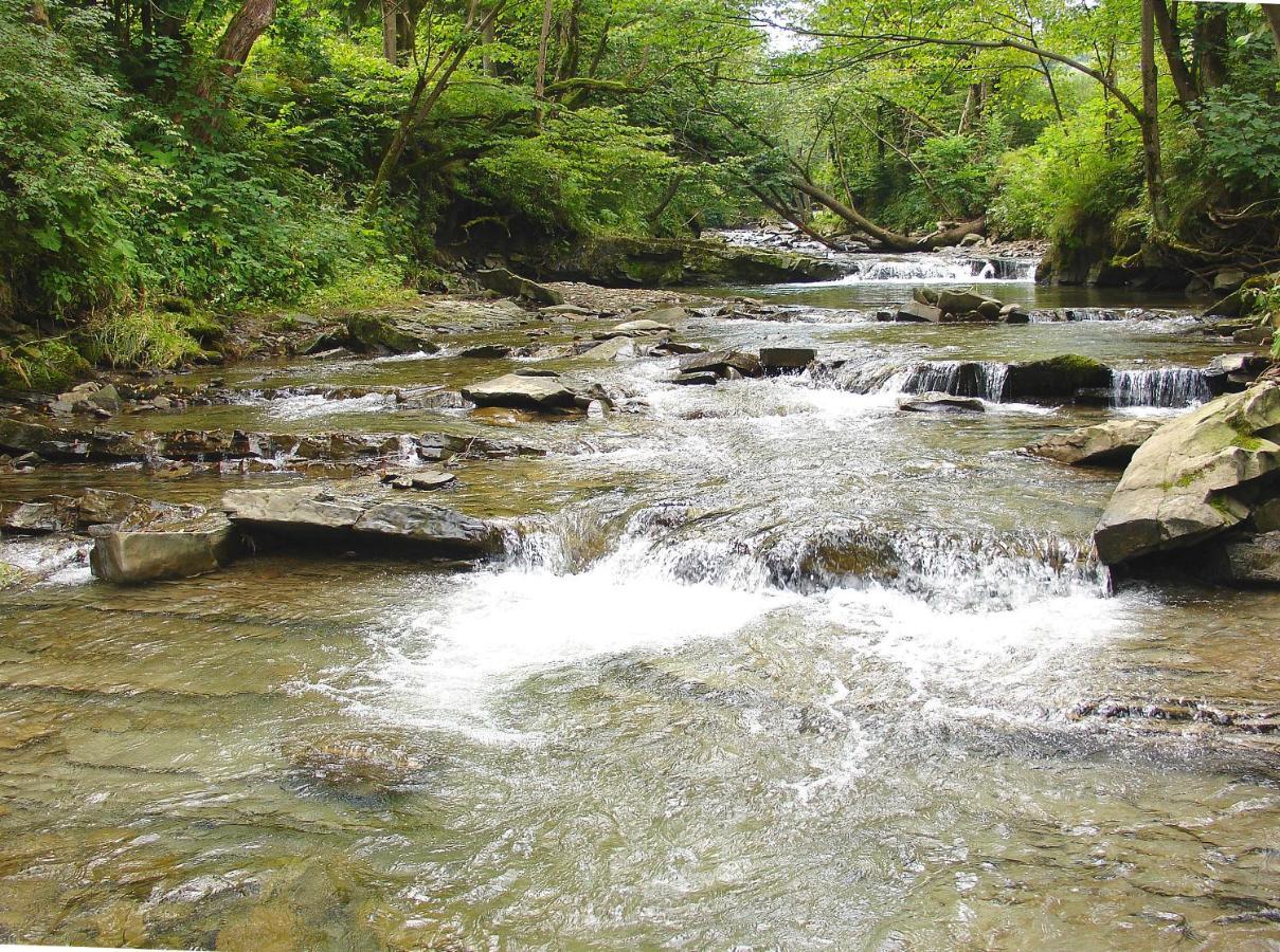 Domek Skowronek Z Basenem เลสโก ภายนอก รูปภาพ